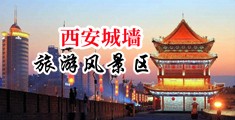 干欧美肥婆的逼逼中国陕西-西安城墙旅游风景区